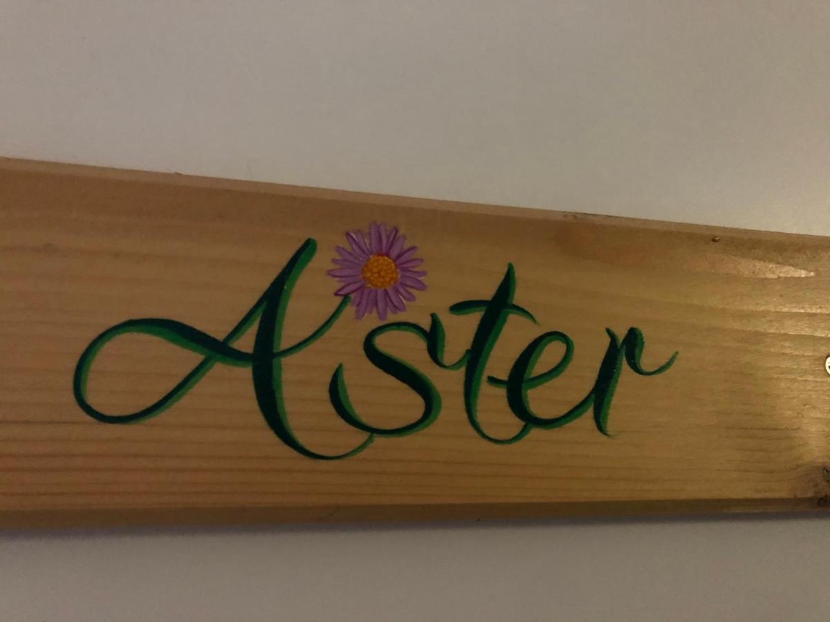 Aster Residence Laureane 1Er Etage Cauterets Esterno foto